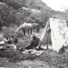 Tahoe Basin: A Forest’s Past and Future