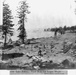 Tahoe Basin: A Forest’s Past and Future