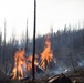 Plumas National Forest Pile Burn