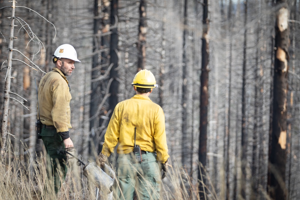 Plumas National Forest Pile Burn