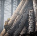 Plumas National Forest Pile Burn
