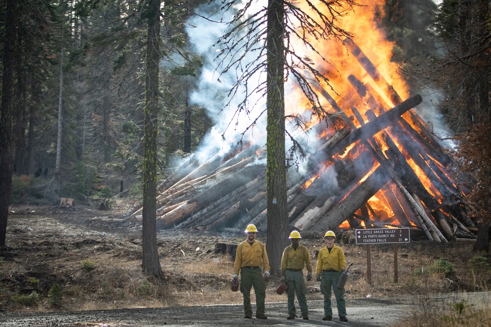 Plumas National Forest Pile Burn