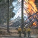 Plumas National Forest Pile Burn