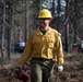 Plumas National Forest Pile Burn