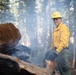 Plumas National Forest Pile Burn