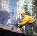 Plumas National Forest Pile Burn