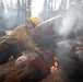 Plumas National Forest Pile Burn