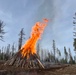 Plumas National Forest Pile Burn
