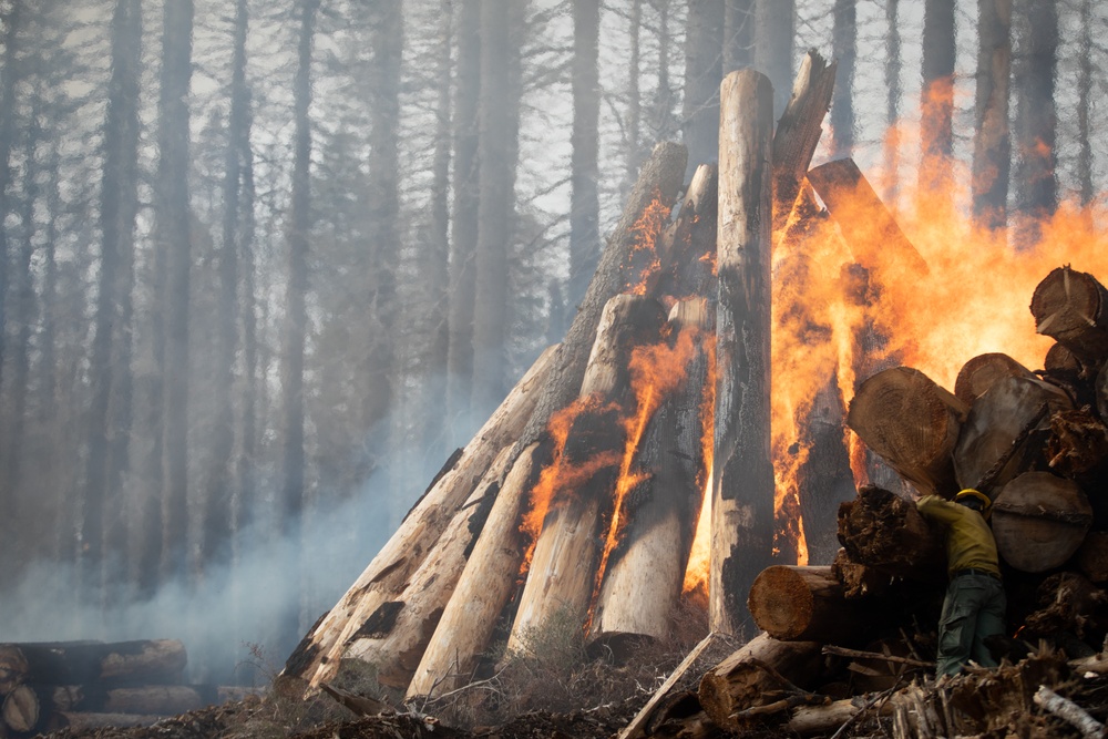 Plumas National Forest Pile Burn