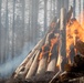 Plumas National Forest Pile Burn