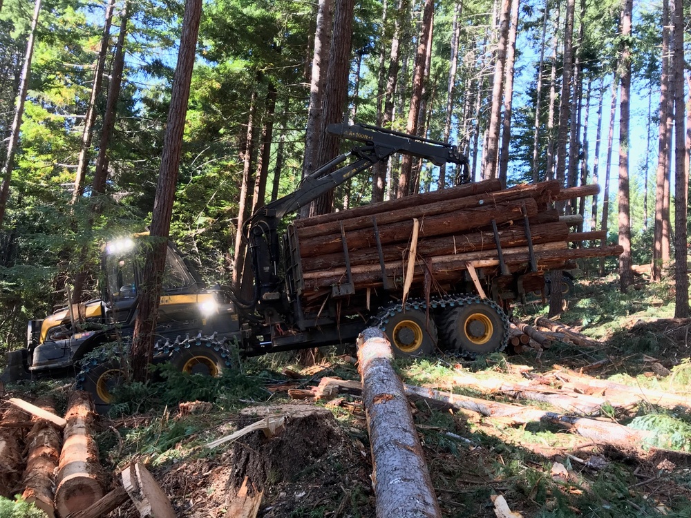 Innovative Forestry: New Equipment, Big Data Potential