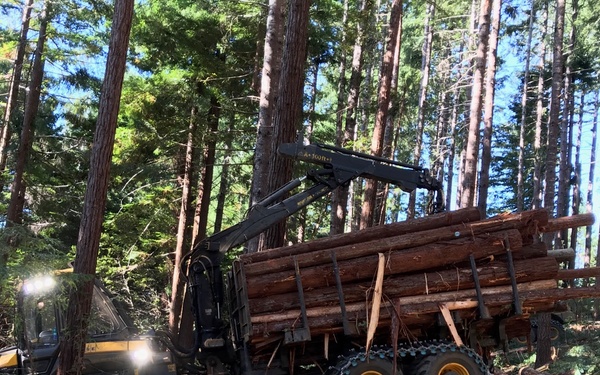 Innovative Forestry: New Equipment, Big Data Potential