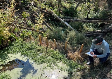 Completed Beaver Dam Analog (BDA) restoration project