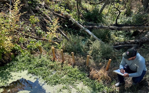 Completed Beaver Dam Analog (BDA) restoration project