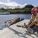 U.S. Navy begins removal of USS Arizona platforms
