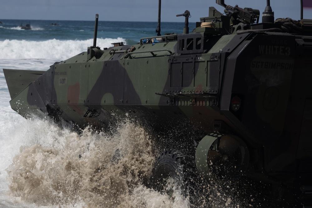 U.S. Marines with 1st MARDIV conduct amphibious combat vehicle surf transit training