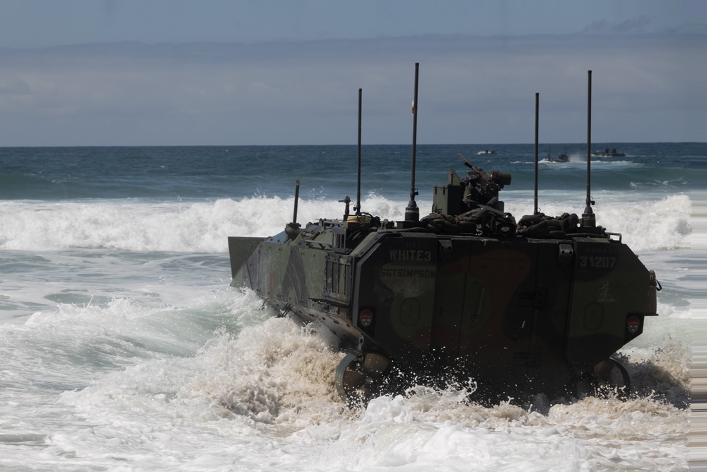 U.S. Marines with 1st MARDIV conduct amphibious combat vehicle surf transit training