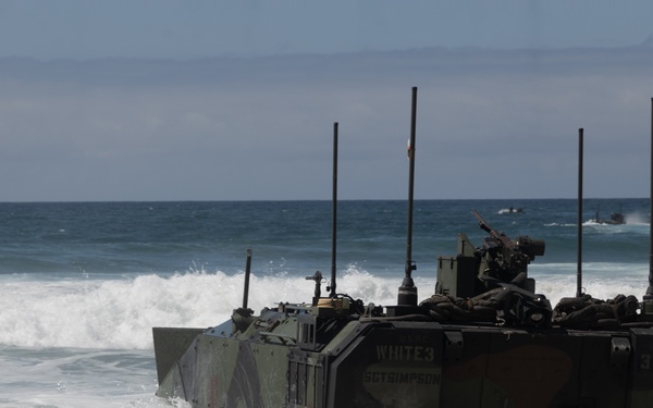 U.S. Marines with 1st MARDIV conduct amphibious combat vehicle surf transit training