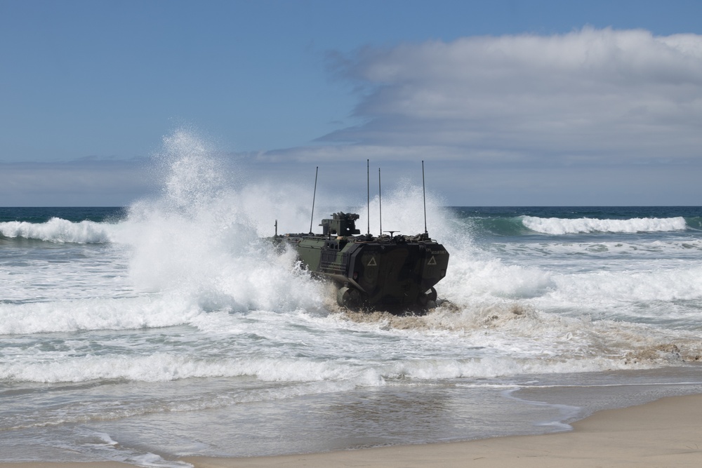 U.S. Marines with 1st MARDIV conduct amphibious combat vehicle surf transit training