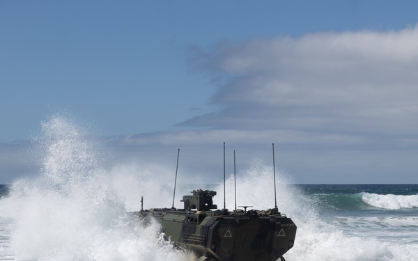U.S. Marines with 1st MARDIV conduct amphibious combat vehicle surf transit training