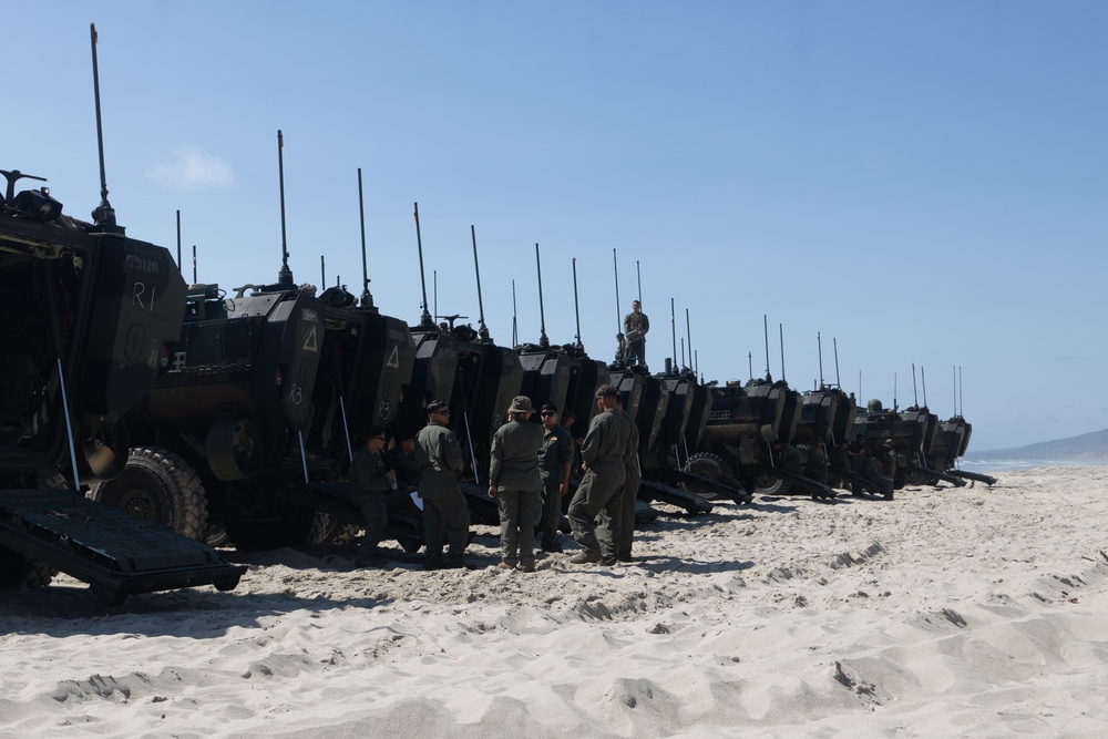 U.S. Marines with 1st MARDIV conduct amphibious combat vehicle surf transit training