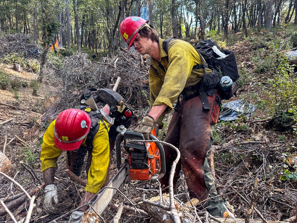 Cedar Ridge 2025 Pile Burns, Unit 307