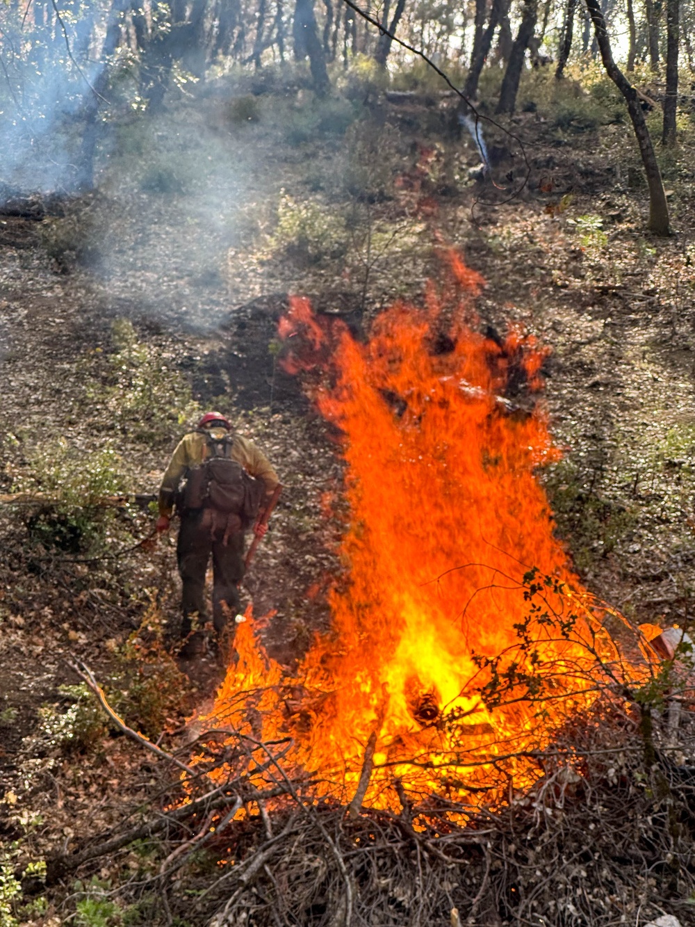 Cedar Ridge 2025 Pile Burns, Unit 307
