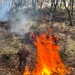 Cedar Ridge 2025 Pile Burns, Unit 307