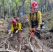 Cedar Ridge 2025 Pile Burns, Unit 307
