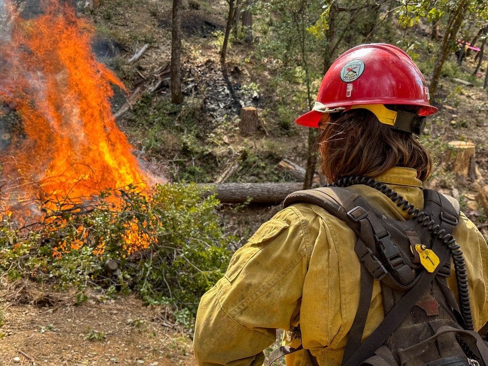 Cedar Ridge 2025 Pile Burns, Unit 307