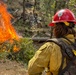 Cedar Ridge 2025 Pile Burns, Unit 307