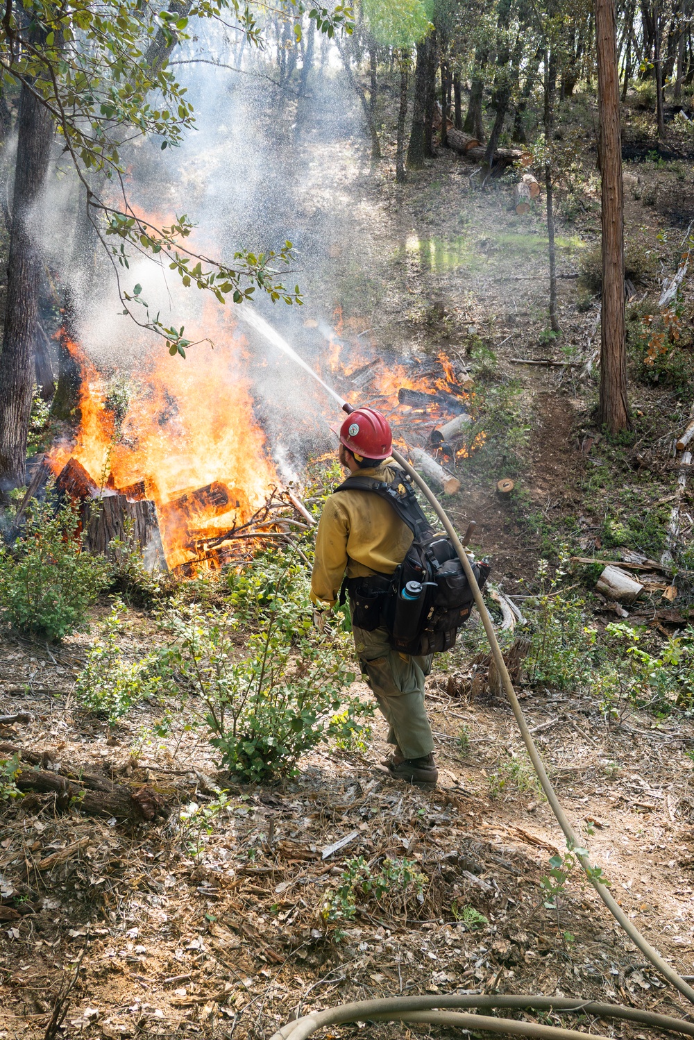 Cedar Ridge 2025 Pile Burns Unit 307