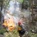 Cedar Ridge 2025 Pile Burns Unit 307