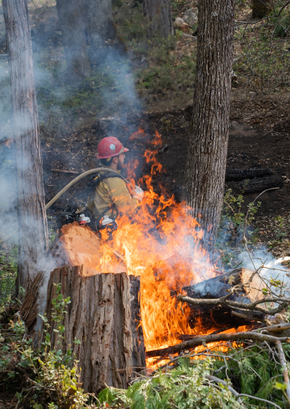 Cedar Ridge 2025 Pile Burns Unit 307