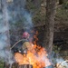 Cedar Ridge 2025 Pile Burns Unit 307