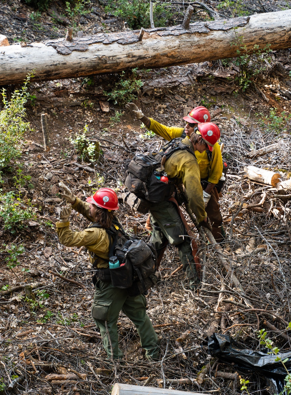Cedar Ridge 2025 Pile Burns Unit 307