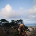 MAG-24 NCOs hike Koko Crater Trail for 9/11 Memorial