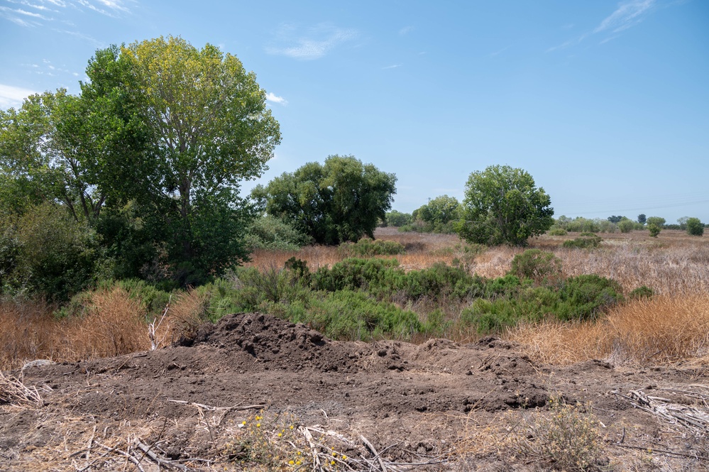 Lower San Joaquin River - Fourteenmile Slough Pump Station Mitigation Site
