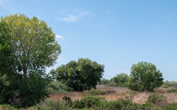 Lower San Joaquin River - Fourteenmile Slough Pump Station Mitigation Site