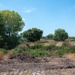 Lower San Joaquin River - Fourteenmile Slough Pump Station Mitigation Site