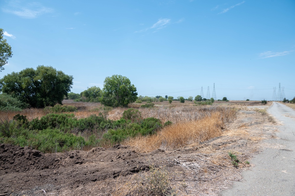Lower San Joaquin River - Fourteenmile Slough Pump Station Mitigation Site