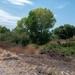 Lower San Joaquin River - Fourteenmile Slough Pump Station Mitigation Site