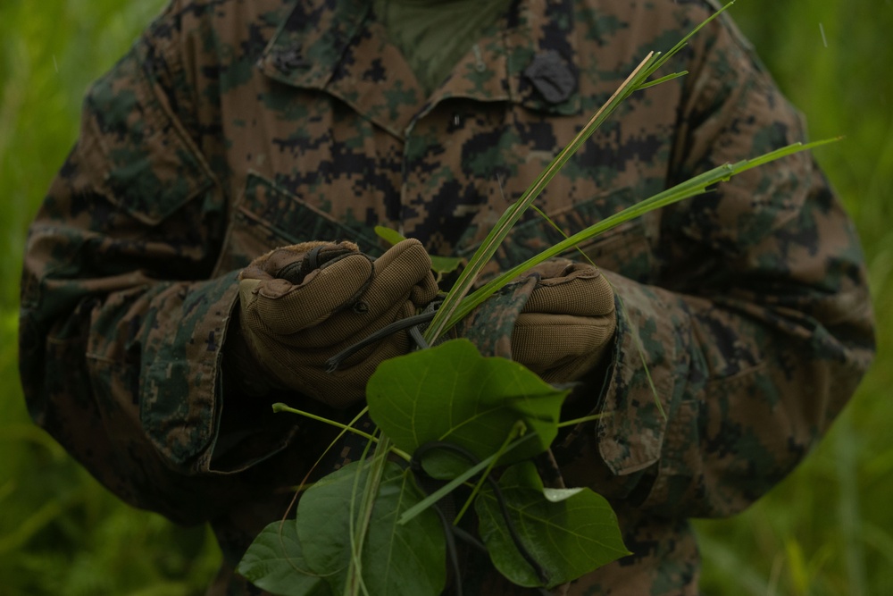 RD25 | 12th MLR Marines and Sailors Participate in a Cover and Concealment Training