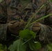 RD25 | 12th MLR Marines and Sailors Participate in a Cover and Concealment Training