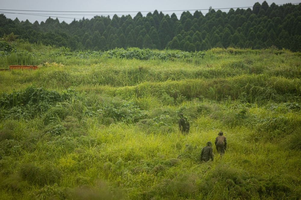 RD25 | 12th MLR Marines and Sailors Participate in a Cover and Concealment Training