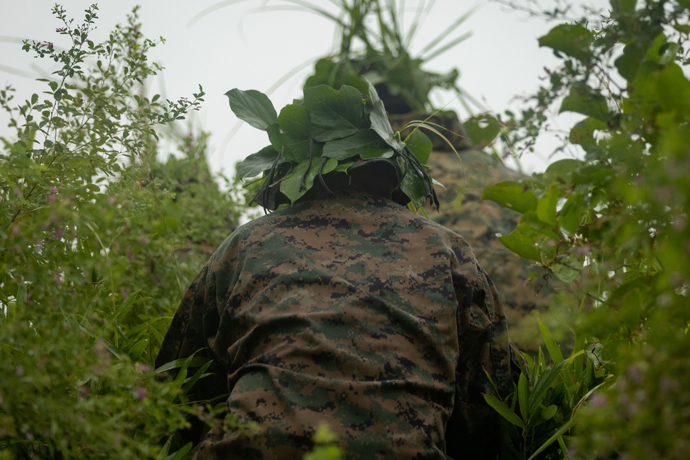 RD25 | 12th MLR Marines and Sailors Participate in a Cover and Concealment Training