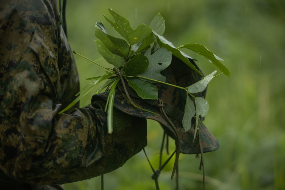 RD25 | 12th MLR Marines and Sailors Participate in a Cover and Concealment Training