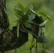 RD25 | 12th MLR Marines and Sailors Participate in a Cover and Concealment Training