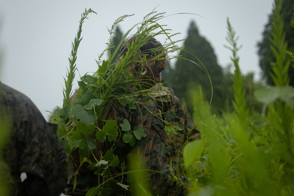 RD25 | 12th MLR Marines and Sailors Participate in a Cover and Concealment Training