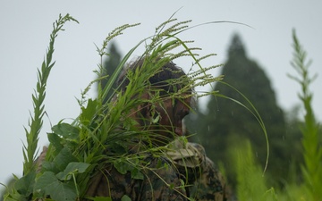 RD25 | 12th MLR Marines and Sailors Participate in a Cover and Concealment Training